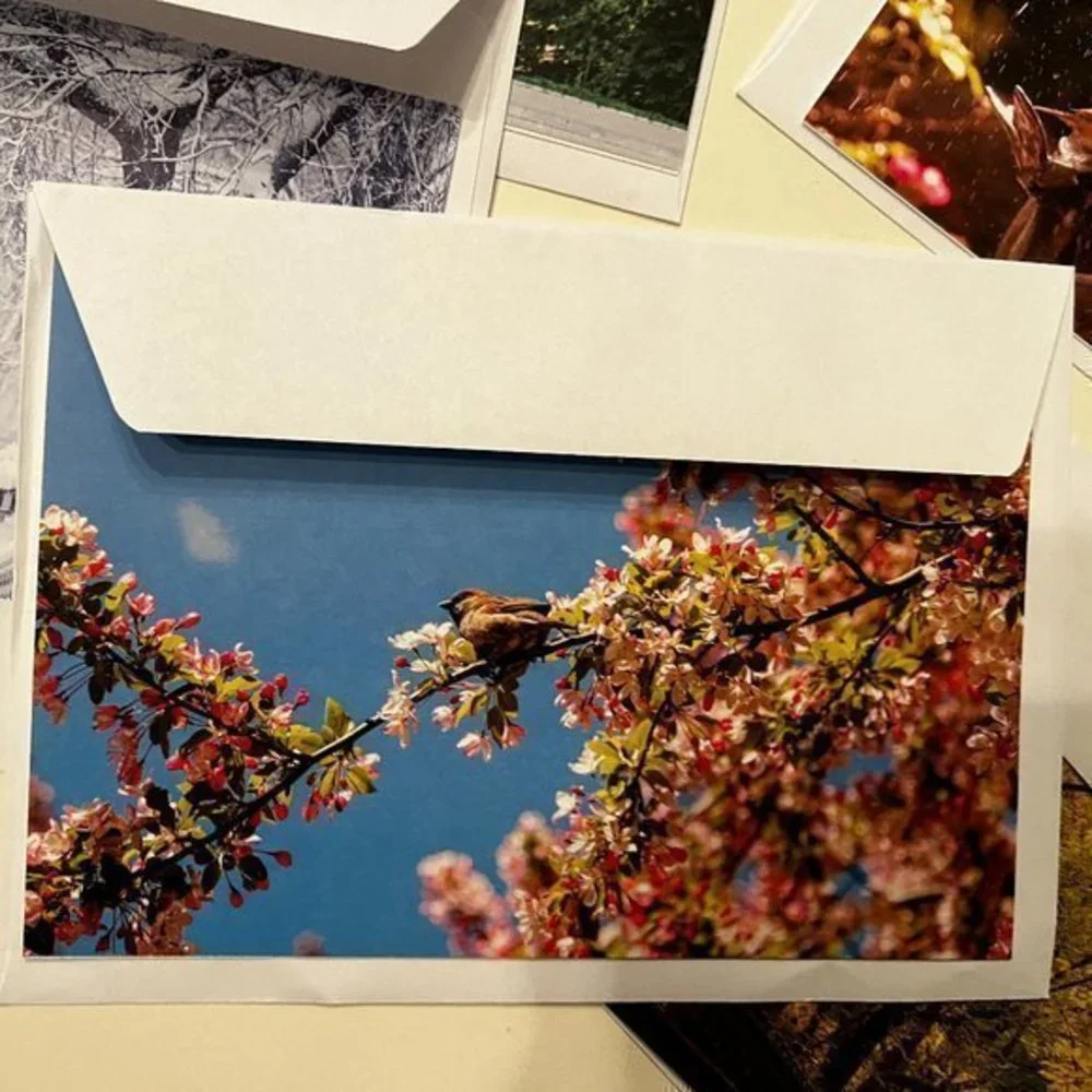 Central Park‎ Conservatory Greeting Cards – Set of 5 Blank Cards  Any Occasion
